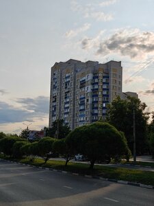 Kutuzova Street, 45Б ، : صورة