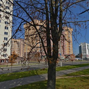 Bialinskaga Street, 54, Minsk: photo