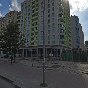 Sviatoshynska vulytsia, 27Г, Vyshneve: photo