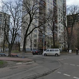 Patriarkha Mstyslava Skrypnyka Street, 15, Kyiv: photo