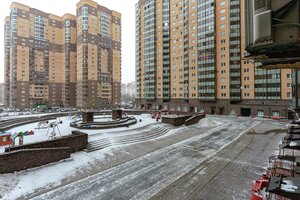 Kosmonavtov Avenue, 61к1, Saint Petersburg: photo