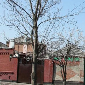 Madoyana Street, 157, Rostov‑na‑Donu: photo