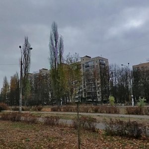 Akademika Vernadskoho Boulevard, 81, Kyiv: photo