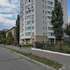 Yuriia Lytvynskoho Street, 45Б, Kyiv: photo