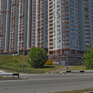 Feodosiiskyi Lane, No:12, Kiev: Fotoğraflar