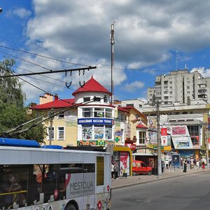 Sykhivska vulytsia, 18, Lviv: photo