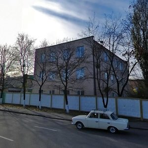 Mezhihirska Street, 87, Kyiv: photo