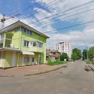 Vulytsia Nekrasova, 33 ، : صورة