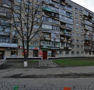 Zhylianska Street, 45, Kyiv: photo