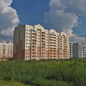 Vulytsia Pavla Chubynskoho, 2, Kyiv Region: photo