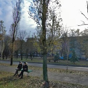 Vatslava Havela Boulevard, 15, Kyiv: photo