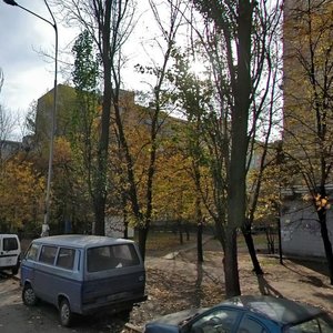 Entuziastiv Street, 35, Kyiv: photo