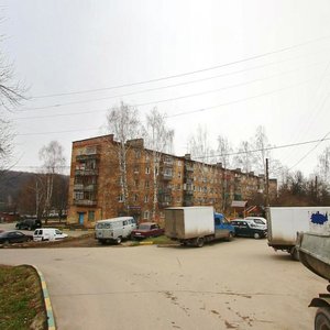 Нижний Новгород, Посёлок Черепичный, 21: фото