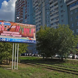 Dachnaya Street, 24, Samara: photo