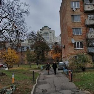 Киев, Дмитриевская улица, 35В: фото