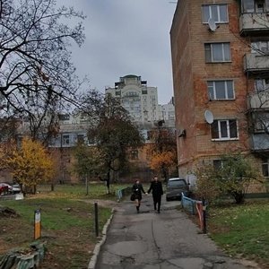 Dmytrivska Street, 35В, Kyiv: photo