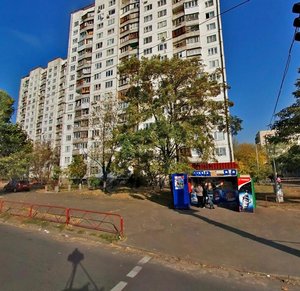 Raiduzhna Street, 11, Kyiv: photo
