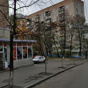 Henerala Henadіia Vorobiova Street, 13, Kyiv: photo