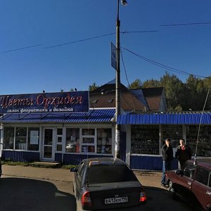 Entuziastov Street, 4, Dubna: photo