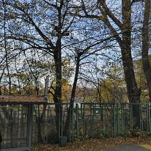 Poperechniy Glade, 11с15, Moscow: photo