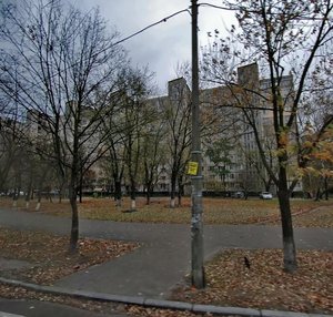 Kosmonavta Volkova Street, 8, Kyiv: photo