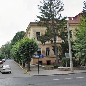 Universytetska vulytsia, 19, Chernivtsi: photo