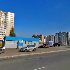 Onore De Balzaka Street, 57А, Kyiv: photo