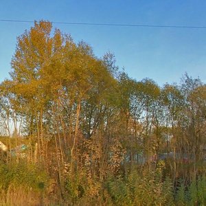Settlement of Noviy, 1, : foto