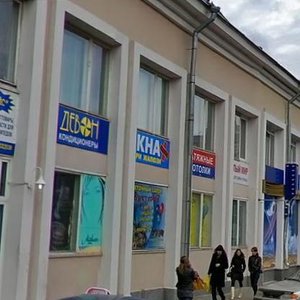 Moskovskiy Avenue, 22 ، : صورة