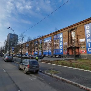 Vatslava Havela Boulevard, 8, Kyiv: photo