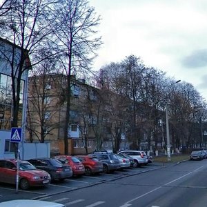 Mykhaila Dontsia Street, 17/46, : foto