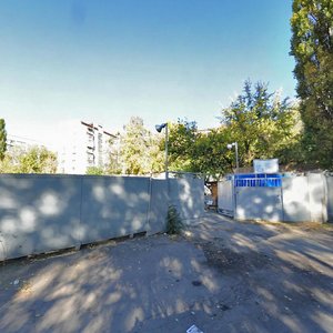 Borschahivska Street, 117, Kyiv: photo
