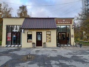 Lenin Avenue, 49Г, : foto
