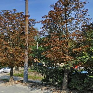 Lychakivska vulytsia, 171 ، لفيف: صورة
