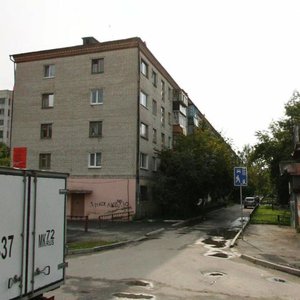 Karla Marksa Street, 123 ، تيومين: صورة