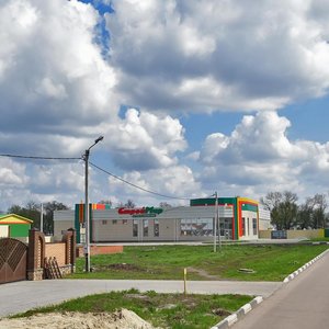 Zhukova Street, 14, Stroitel: photo