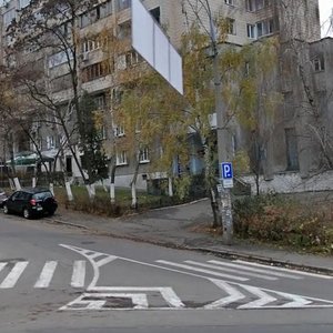 Mykilsko-Botanichna Street, No:31, Kiev: Fotoğraflar