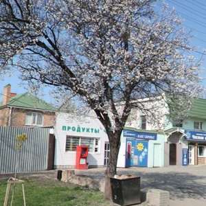 Madoyana Street, 163, Rostov‑na‑Donu: photo