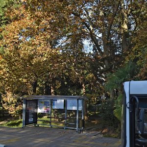 Kurortniy Avenue, 76, Sochi: photo