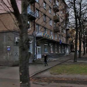 Piterska Street, 16, Kyiv: photo