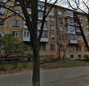 Mykhaila Lomonosova Street, 77 ، كييف: صورة