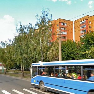 Ternovskogo Street, 172, Penza: photo