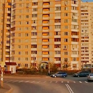 Larysy Rudenko Street, 21А, : foto