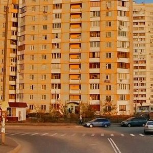 Larysy Rudenko Street, 21А, Kyiv: photo