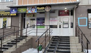 Ulitsa Mate Zalki, 9, Krasnoyarsk: photo