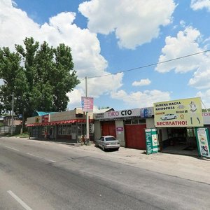 Petrozavodskaıa kóshesi, 117, Almaty: photo