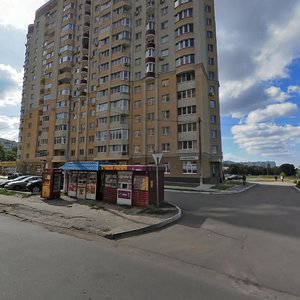 Vulytsia Hvardiitsiv-Shyronintsiv, 29А, Kharkiv: photo