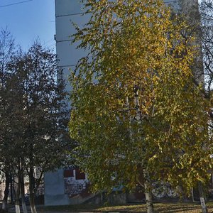 295 Strelkovoy Divisii Street, 12, : foto
