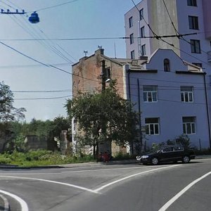 Okruzhna vulytsia, 94, Lviv: photo