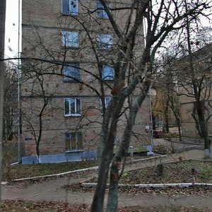 Laboratornyi Lane, 24, Kyiv: photo